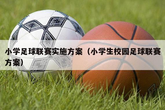 小学足球联赛实施方案（小学生校园足球联赛方案）