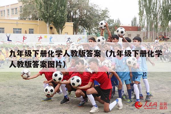 九年级下册化学人教版答案（九年级下册化学人教版答案图片）