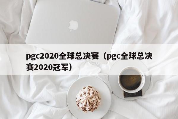 pgc2020全球总决赛（pgc全球总决赛2020冠军）