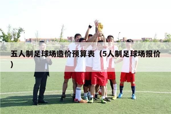 五人制足球场造价预算表（5人制足球场报价）