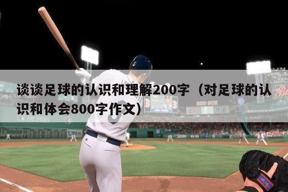 谈谈足球的认识和理解200字（对足球的认识和体会800字作文）